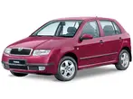 Skoda Fabia I 1999-2004 хетчбек 5 дв. Суцільна